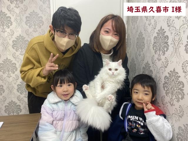 ミヌエット 足長