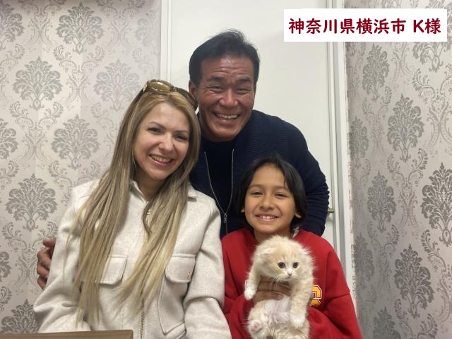 折耳スコティッシュフォールド