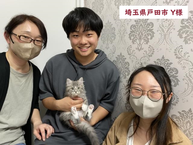 当店出産★ミックス猫
