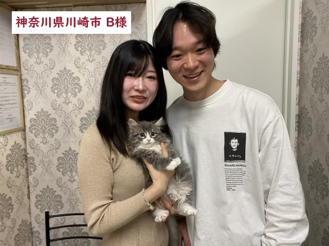 当店出産★ミックス猫