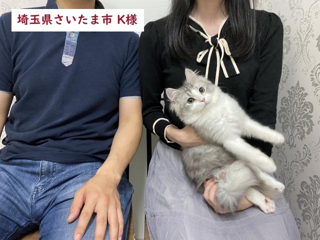 ミヌエット 足長