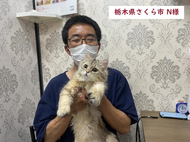 ミヌエット 足長