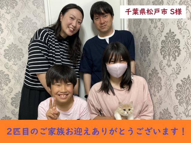 サイベリアン