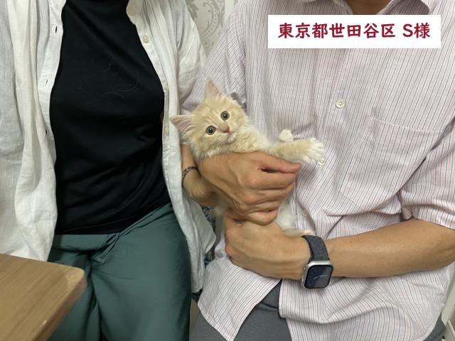 サイベリアン