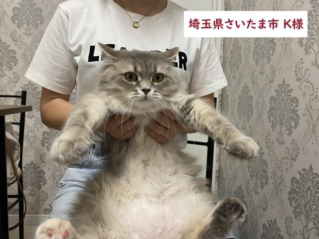 避妊済★サイベリアン