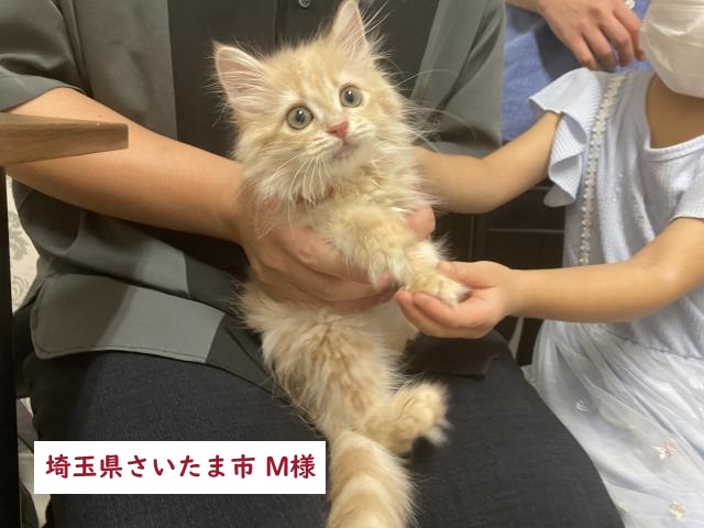 サイベリアン
