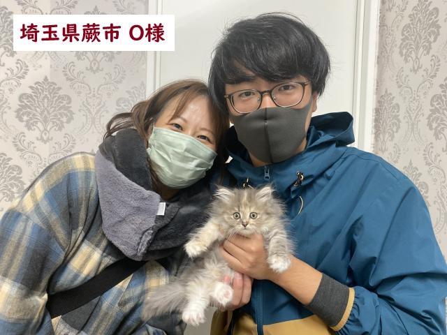 サイベリアン
