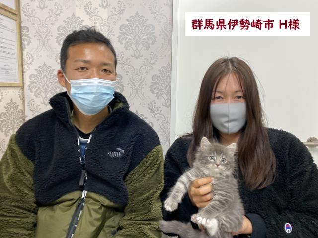サイベリアン