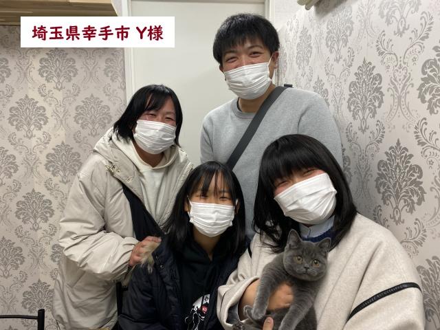 ブリティッシュショートヘアー