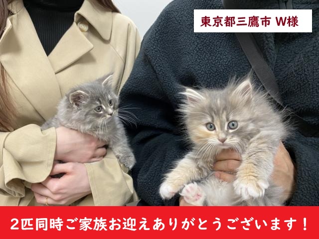 サイベリアン