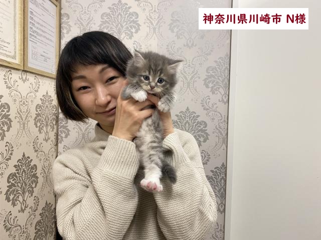 サイベリアン