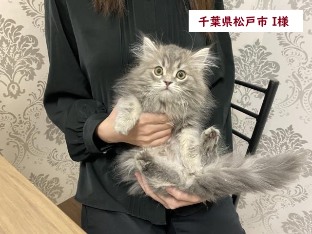 サイベリアン