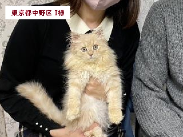 当店出産★サイベリアン